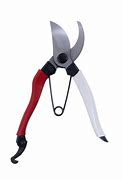 Image result for Japanese Pruning Shears