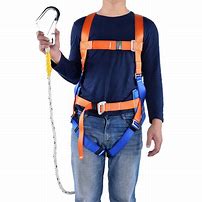 Image result for Body Harness Work