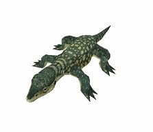 Image result for Planet Zoo Lizard