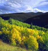 Image result for Notch Mountain