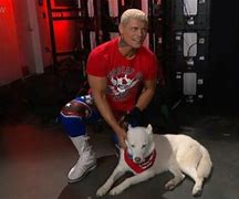 Image result for Cody Rhodes Dog