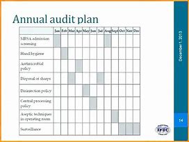 Image result for Internal Audit Program Template