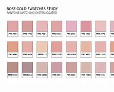 Image result for Rose Gold Color Swatch