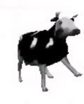 Image result for Dancing Polish Cow Meme