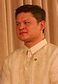 Image result for Duterte Spokesperson