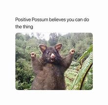 Image result for Positive Animal Memes