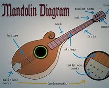 Image result for Mandolin Banjo Parts