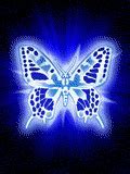 Image result for Butterfly iPhone Wallpaper