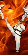 Image result for Martial Arts Photography