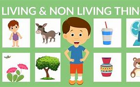 Image result for Non Living Things Cartoon