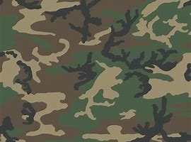 Image result for iPhone 5 Camo Case