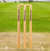 Image result for Cricket Tools