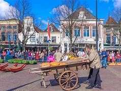 Image result for Netherlands Cheese Festival