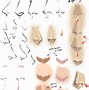 Image result for Anime Nose Step by Step