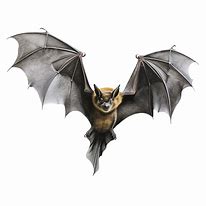 Image result for Minecraft Bat Transparent