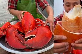 Image result for Giant Lobster Mukbang