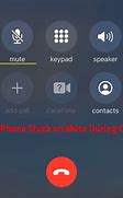 Image result for iPhone Mute Button