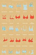 Image result for All Bra Sizes Pictures