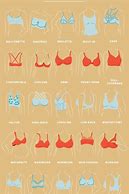 Image result for All the Bra Sizes