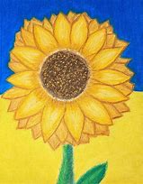 Image result for Flower Scene Oil Pastel Sunflower