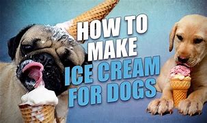 Image result for Crazy Crumble Dog Ice Cream