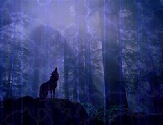 Image result for Abstract Wolf Art