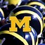 Image result for Michigan Wolverines Background