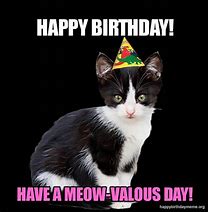 Image result for Pizza Cat Birthday Meme