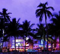 Image result for Miami Beach at Night