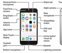 Image result for iPhone 7 Layout