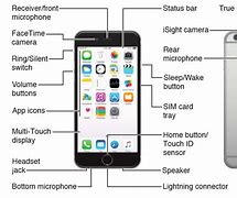 Image result for Buttons On iPhone 7 Diagram