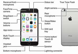 Image result for iPhone 7 Screen Diagram