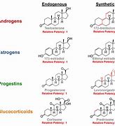 Image result for Differences Between Different Steroids