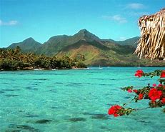 Image result for Tropical Beach Computer Backgrounds