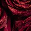 Image result for Roses iPhone Screensaver