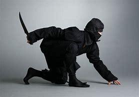 Image result for Martial Arts Techniques