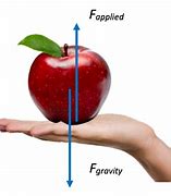 Image result for Newton Apple Physics
