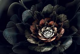 Image result for Black Floral Goth Wallpaper