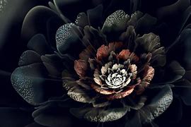 Image result for Beautiful Dark Flower Art