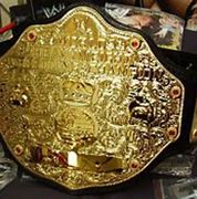 Image result for John Cena Championship Belt