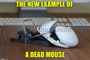 Image result for Funny Computer Mouse Dead