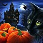 Image result for Halloween Designs Black Cat