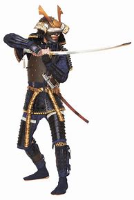 Image result for Ninja Samurai