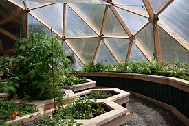 Image result for Dome Greenhouse Kit