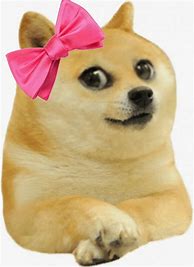 Image result for Doge Meme Format