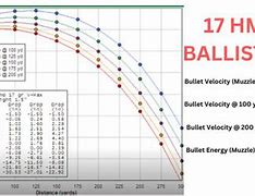 Image result for 223 vs 17 HMR Ballistics