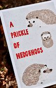 Image result for Prickle of Hedgehogs