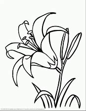 Image result for Jungle Flowers Coloring Pages
