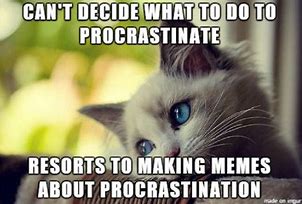 Image result for Memes About Procrastination