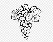 Image result for Grape Leaves Drawing